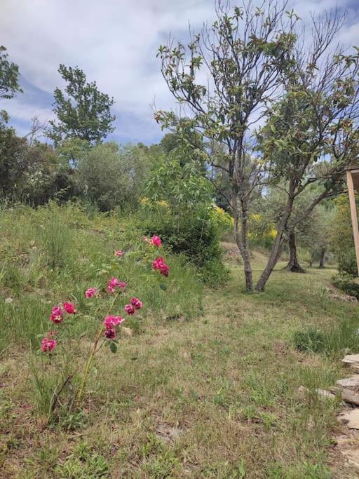 Auberge Des Esperels Rez De Maison Avec Jardin Figanières エクステリア 写真