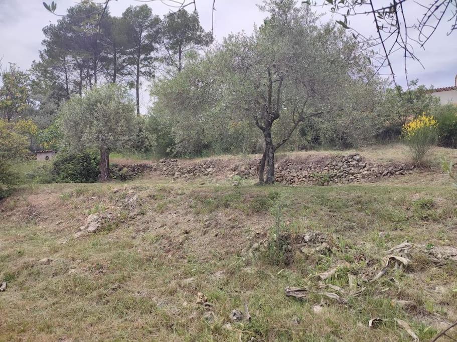 Auberge Des Esperels Rez De Maison Avec Jardin Figanières エクステリア 写真